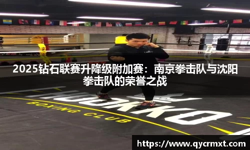 2025钻石联赛升降级附加赛：南京拳击队与沈阳拳击队的荣誉之战