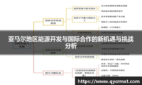 亚马尔地区能源开发与国际合作的新机遇与挑战分析